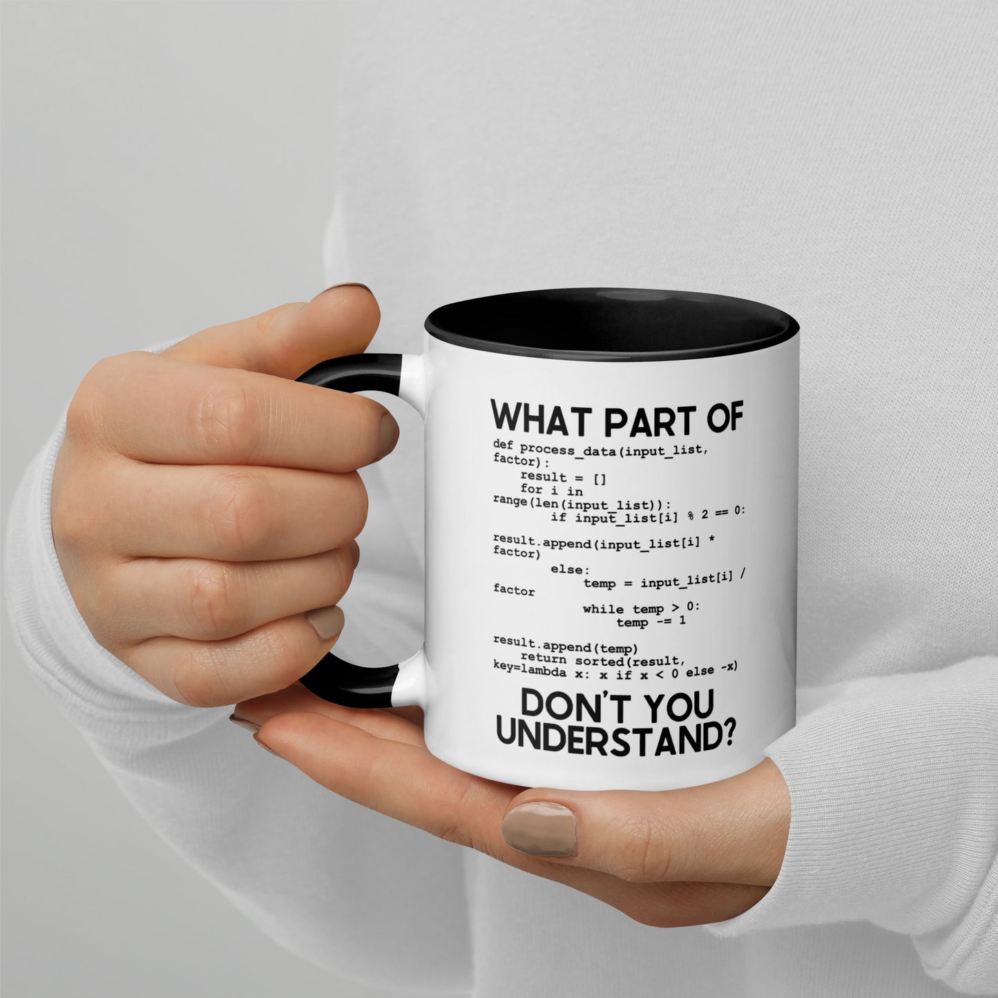 What Part Of Programing Don't You Understand Mug