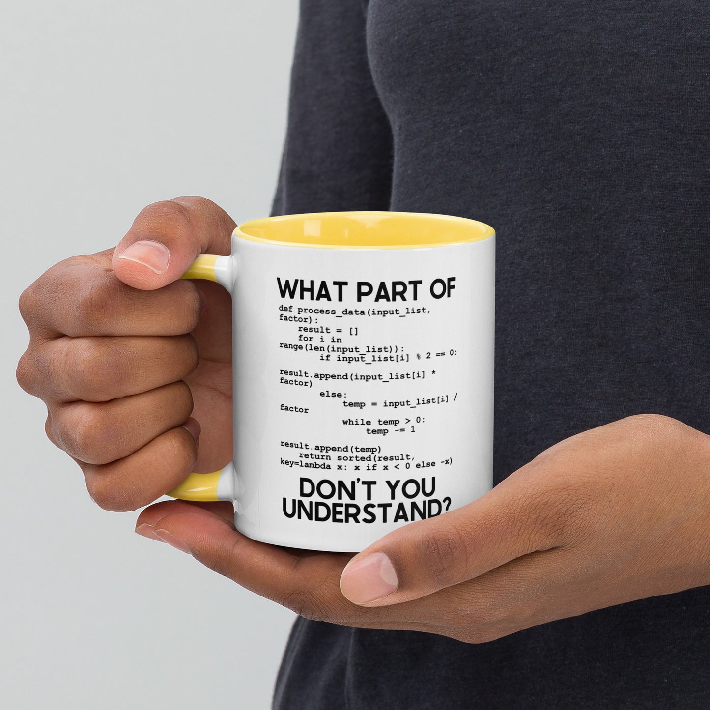 What Part Of Programing Don't You Understand Mug