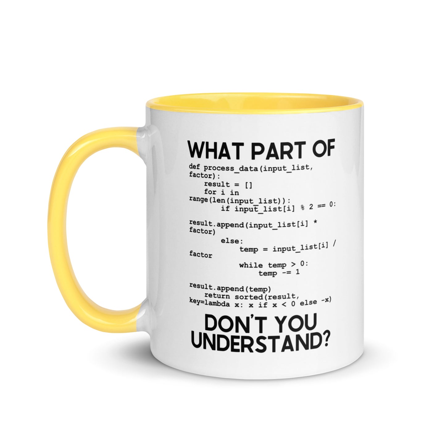 What Part Of Programing Don't You Understand Mug